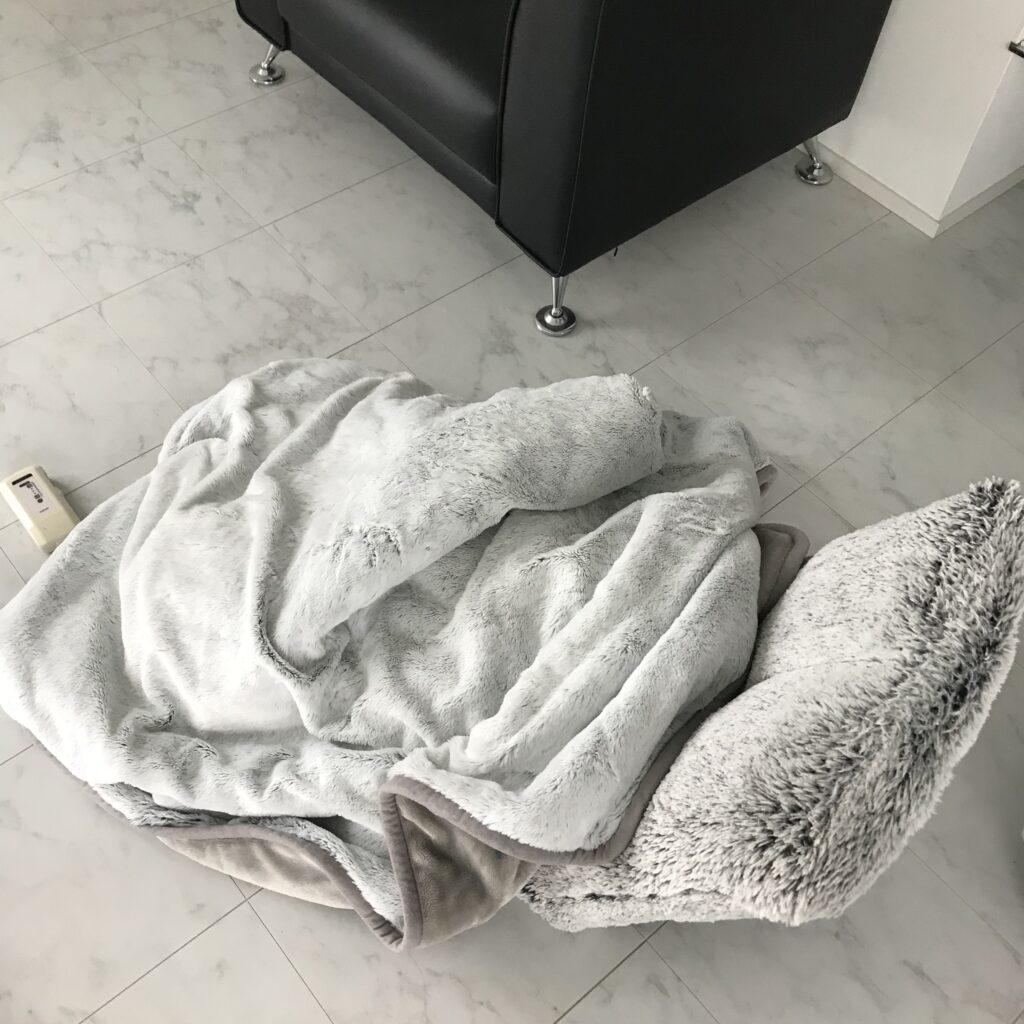 わたしの実際使っている電気毛布の写真。
