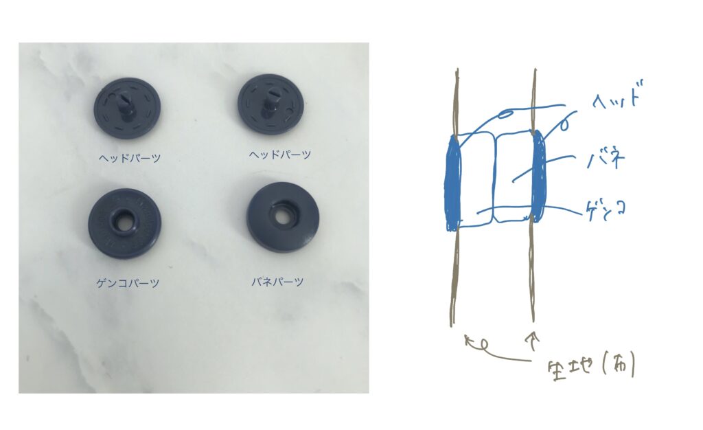 スナップホックの仕組みの説明の写真。