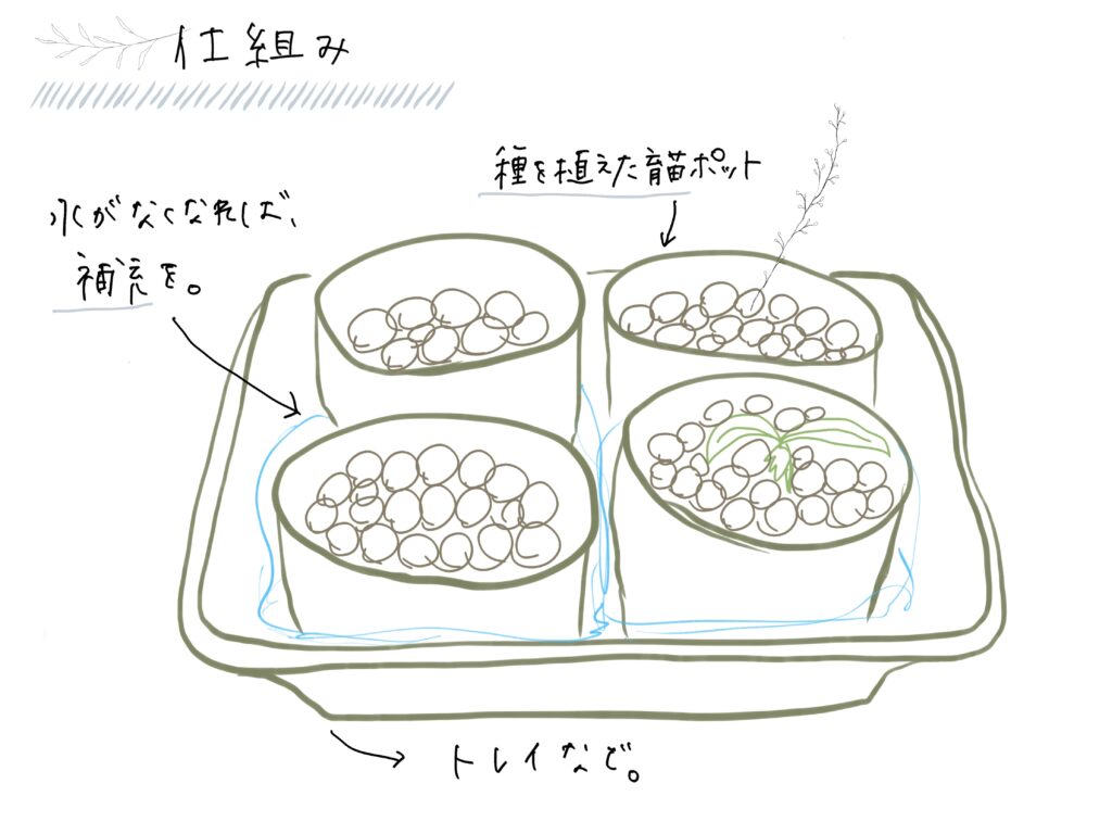 育てる仕組みを図にして描いた画像。