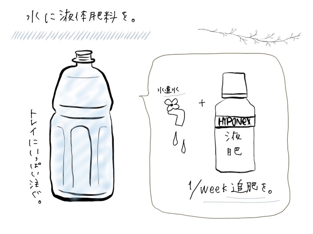 液体肥料についての説明の画像。