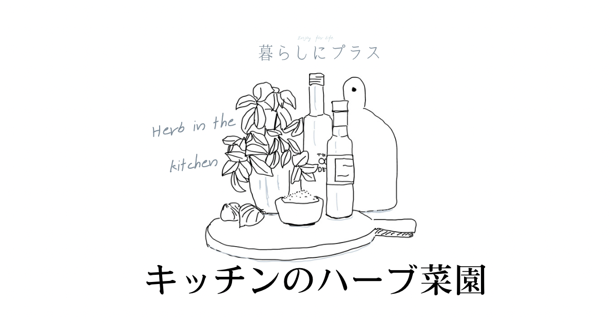 キッチンハーブ菜園のアイキャッチ