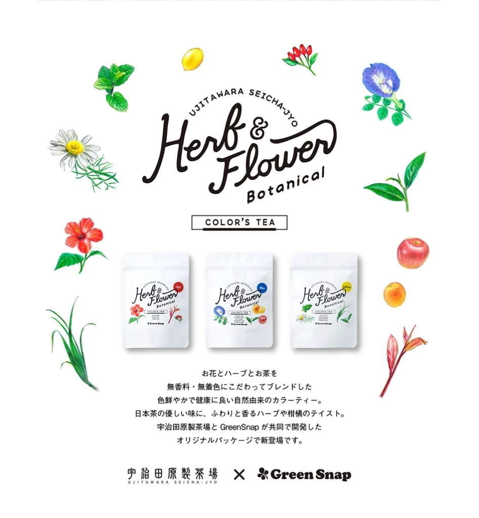 カラーズティーのパッケージの画像