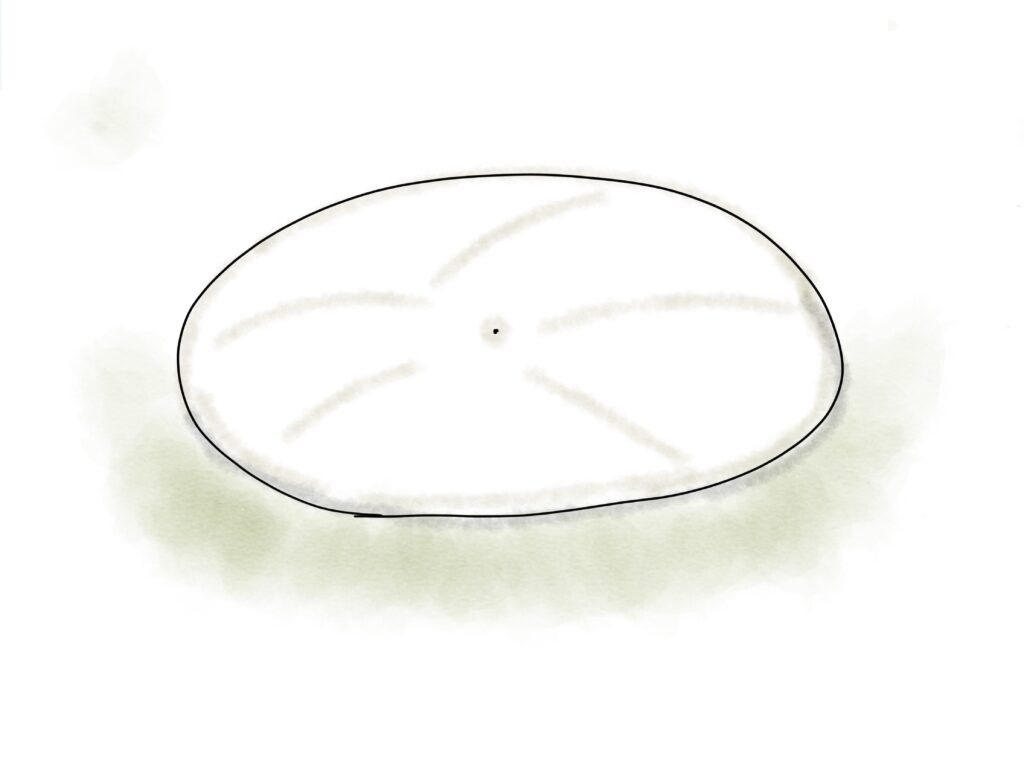 ワンポールテント設営プロセス画像